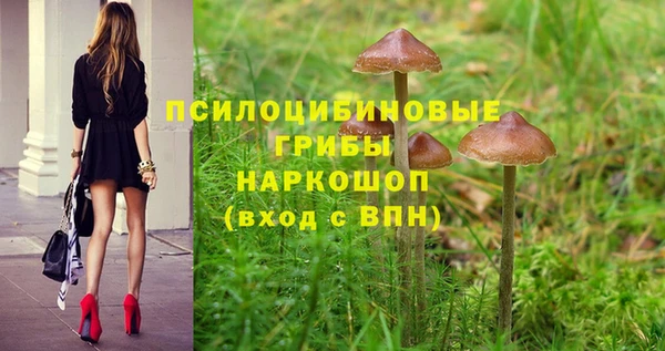 соль ск Абинск