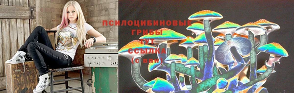 соль ск Абинск