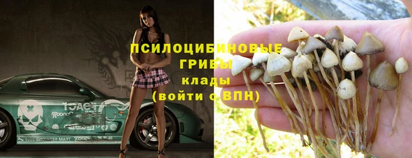 гидропоника Верхнеуральск